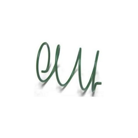 - Comet 215699 Torque Converter Spring - Green