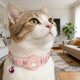 thumbnail image 3 of Collar inteligente para gatos con localizador electrónico «Find My», compatible con seguimiento en tiempo real, de silicona, ligero y ajustable para gatos pequeños y medianos, 3 of 3