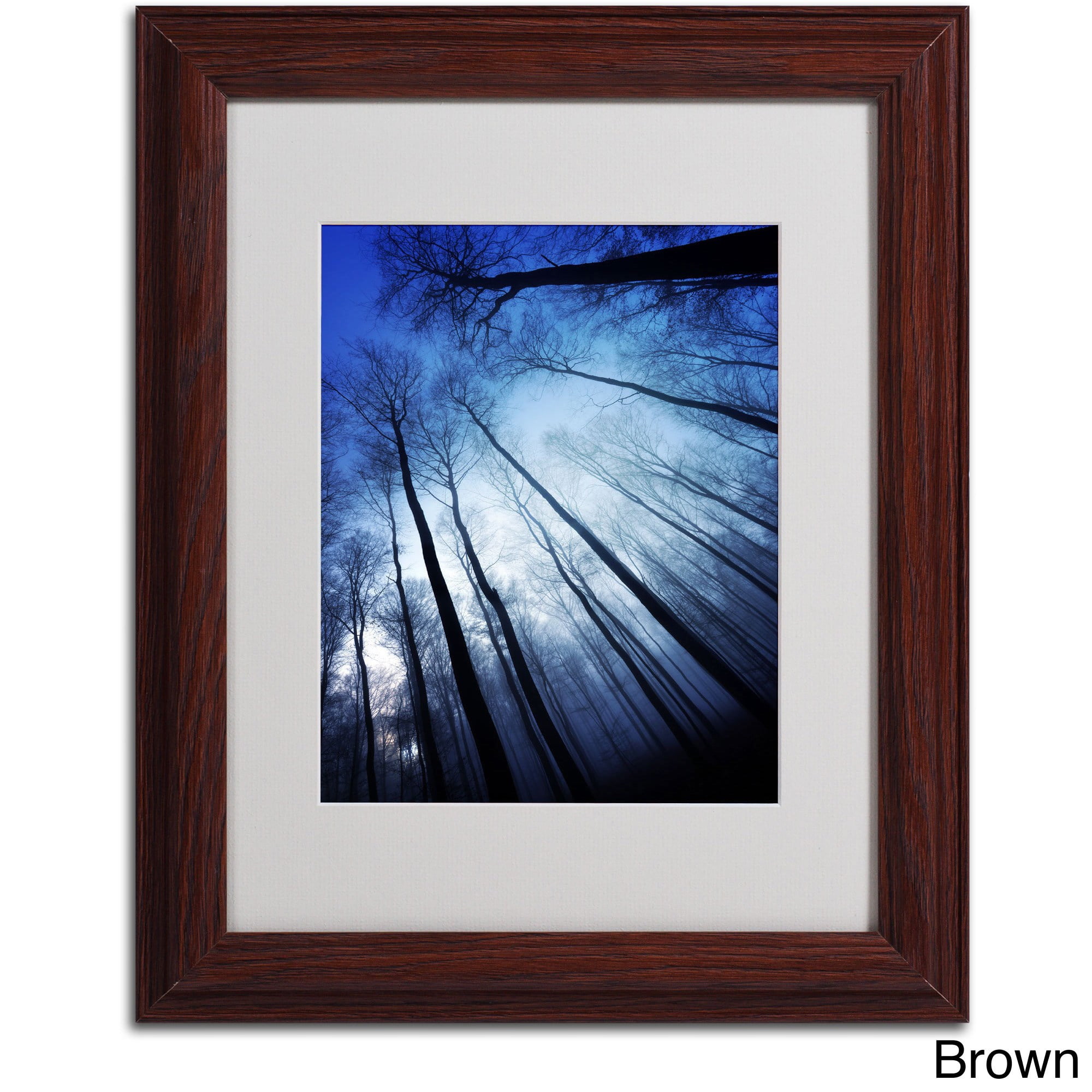 Trademark Fine Art "Blue Forest" Canvas Art by Philippe Sainte-Laudy, Black Frame