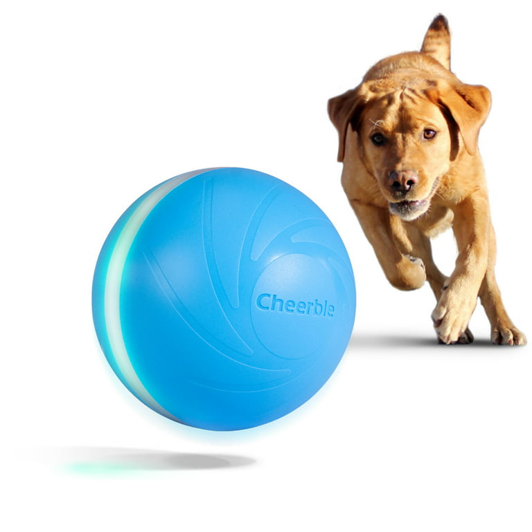 Wicked Ball SE: Smart Interactive Dog Toy for Small Breeds