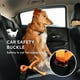 thumbnail image 5 of Correa elástica ajustable para perros con mango acolchado suave - Correa naranja para grandes, 5 of 5