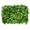 H, variant on Fareti Artificial Greenery Wall Panels, Boxwood Grass Backdrop Panels for Wedding, Photo Booth, Outdoor Garden and Indoor Wall Decor