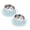 A, variant on Anti Vomiting 15° Tilted Elevated Dog Cat Bowl, Raised Stainless Steel Shallow Kitty Bowl with Non Spill Edge, Slow Feeder for Cat Food Water Bowls Indoor Outdoor Use, 8.66"
