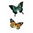 thumbnail image 2 of Allen, Kimberly 15x18 Gold Ornate Wood Framed with Double Matting Museum Art Print Titled - Fly Free 2, 2 of 4
