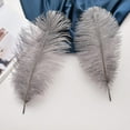 thumbnail image 4 of Natural Gray Ostrich Feathers - 24pcs 12-14inch Big Feathers for Wedding Party Centerpieces Home Decor, 4 of 14