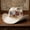 CH-3, variant on United States 250th Anniversary Cowboy Hat,1776-2026 US Independence Western Felt Hat with Patriotic Eagle and Liberty Bell