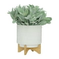 thumbnail image 5 of Sagebrook Home Ceramic Set Of 2 8/10" Planter On Wooden Stand, White, Round, Ceramic, Contemporary, 10"L X 10"W X 12"H, Bubble, 5 of 8