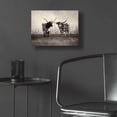 thumbnail image 5 of Epic Art 'Longhorns' by Debra Van Swearingen, Acrylic Glass Wall Art, 16"x12", 5 of 8