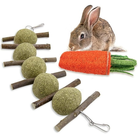 Rabbit Chew Toys, Improve Dental Health, No Glue, Handmade with 100% ...