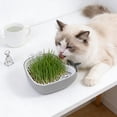 thumbnail image 4 of AuroraX Cat Grass Planter Hydroponic Cat Grass Kit Whales Shaped Indoor No Mess Cute Pet Supplies, 4 of 6
