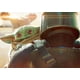 thumbnail image 1 of Star Wars - The Mandalorian - The Child - Rompecabezas de 50 Buffalo Games Buffalo Games, 1 of 2