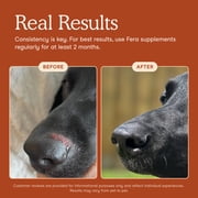 Fera Pets Dog & Cat Probiotics Powder with Prebiotics - USDA Organic - Gut Health Support - 60 Scoops