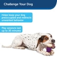 thumbnail image 4 of Juguete para Perros PetSafe Busy Buddy Nobbly Mediano para Masticadores Fuertes, 4 of 6
