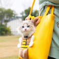 thumbnail image 3 of Sac de Transport pour Animaux de Compagnie Design Animaux Multicolore Extérieur Portable Toile Chiens Chats Sac à Main, 3 of 5
