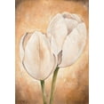 thumbnail image 2 of Lotus, Lenna 14x18 Gold Ornate Wood Framed with Double Matting Museum Art Print Titled - Tulip on beige II, 2 of 4