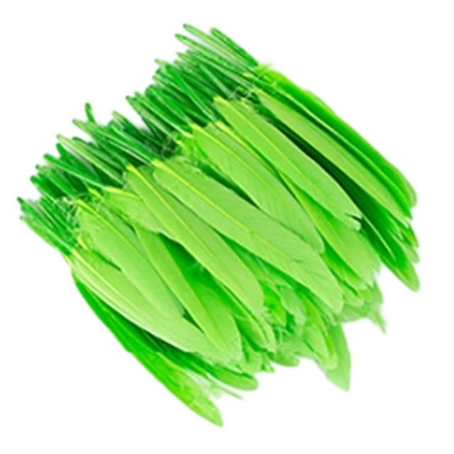 Maytalsory 100x DIY Boho Style Wild And Colorfast Feathers For Crafts Tear-resistant Green 1Set