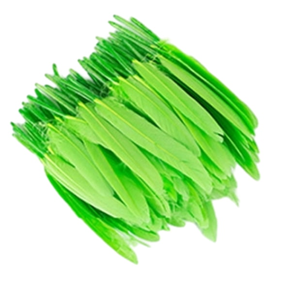 Plumas naturales Inteprter 100x para manualidades y accesorios de bricolaje Verde 12-18 cm