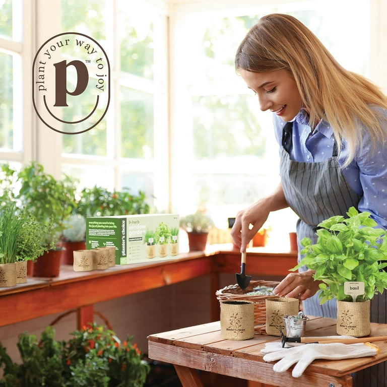 Planter's Choice 9 Herb Indoor Window Garden Kit - House Plants