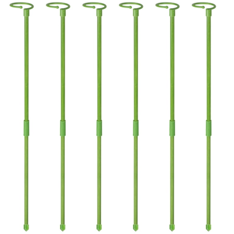 Cabilock 6er-Set Spiral-Pflanzstbe  Elegante Rankhilfen Fr  Zimmerpflanzen, Blumen Und Gemse Im Garten