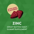 thumbnail image 6 of Nature's Way Mixed Berry Flavored 22 mg Zinc Gummy 120 Gummies, 6 of 8