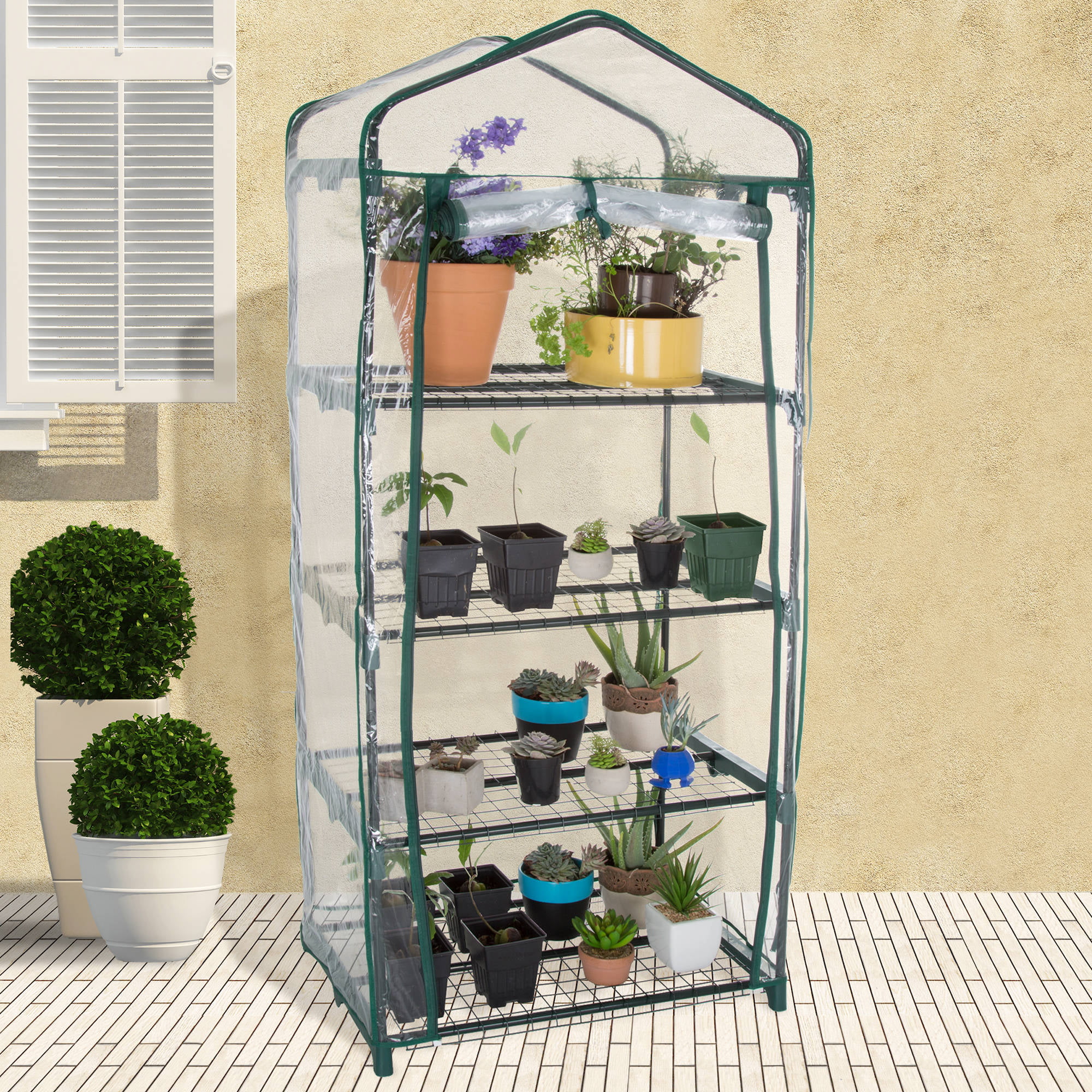 NEW GREENHOUSE COLD FRAME 4 TIER WITH SHELVING & REINFORCED COVER OUTDOOR GARDEN 