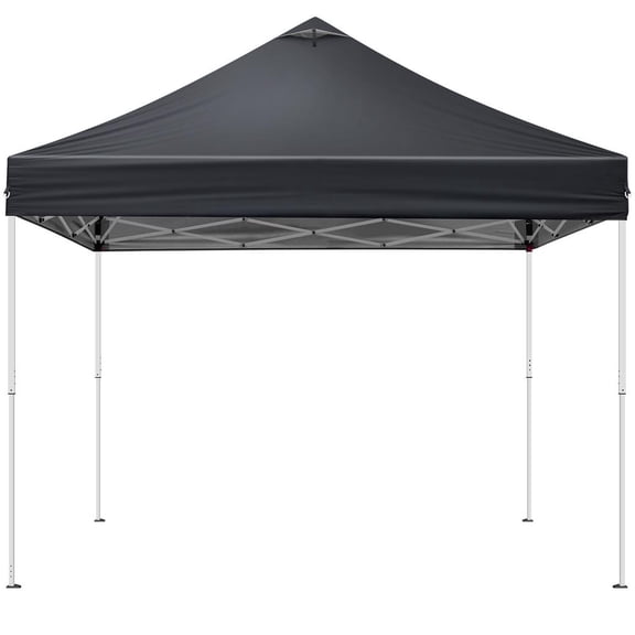 10x10FT pop up Canopy Tent with 2 sidewalls, Outdoor Canopy Tent for Parties