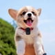 thumbnail image 4 of Cámara Para Mascotas 4K, Cámara Ligera Para Collar De De De 28 G Con Pantalla Táctil IPS De 1,5 Pulgadas, Ultra Gran Angular De 170 Para Vista En Primera De Perros Y Gatos, 4 of 7
