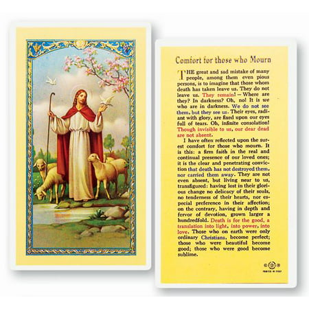 

Comfort for Those Who Mourn Laminated Catholic Prayer Holy Card with Prayer on Back Pack of 25