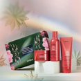 thumbnail image 2 of Aveda Nutriplenish Hydrating Essentials: Deep Moisture Gift Set (Shampoo, Conditiones & Treatment Masque), 2 of 4
