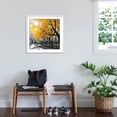 thumbnail image 3 of Art.com Park Pretty II Photographic Print by Assaf Frank, White Frame Wall Art, 29" x 29", 3 of 5