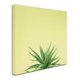 thumbnail image 2 of Trademark Fine Art 'Succulent Simplicity I' Canvas Art by Felicity Bradley, 2 of 3