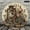 12x12in, variant on Patifu Wooden Wall Clock Rusty Lantern Roses Horseshoe Print Silent Mechanical Movement 10x10in