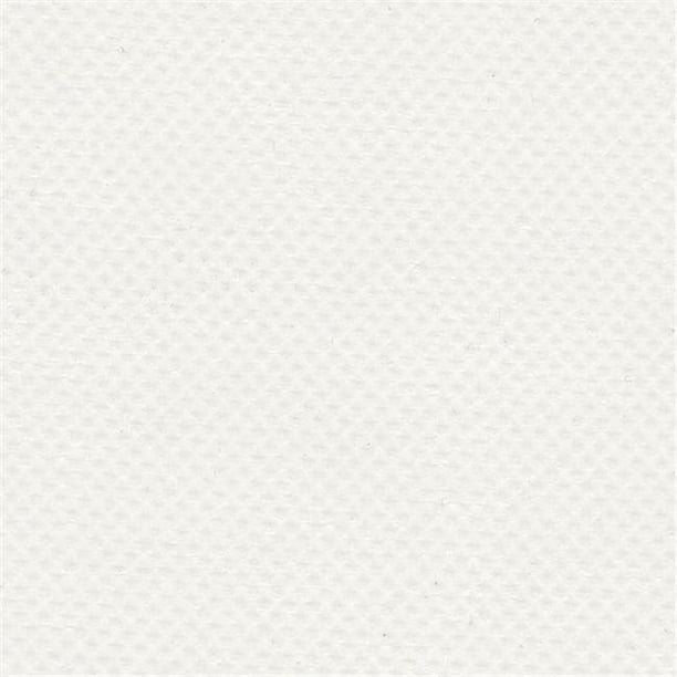 6 Bâche en Vinyle Enduite de 81 Po avec Tissu 1000 x 1300 Deniers 100 % Polyester; Blanc