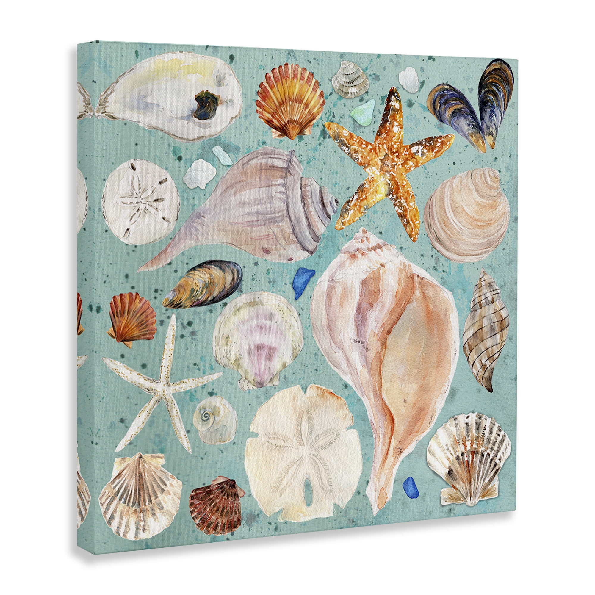 Stupell Industries Seashell Puzzle Pattern Coastal Painting Gallery Wrapped Canvas Art Print Wall Art, 24 x 24