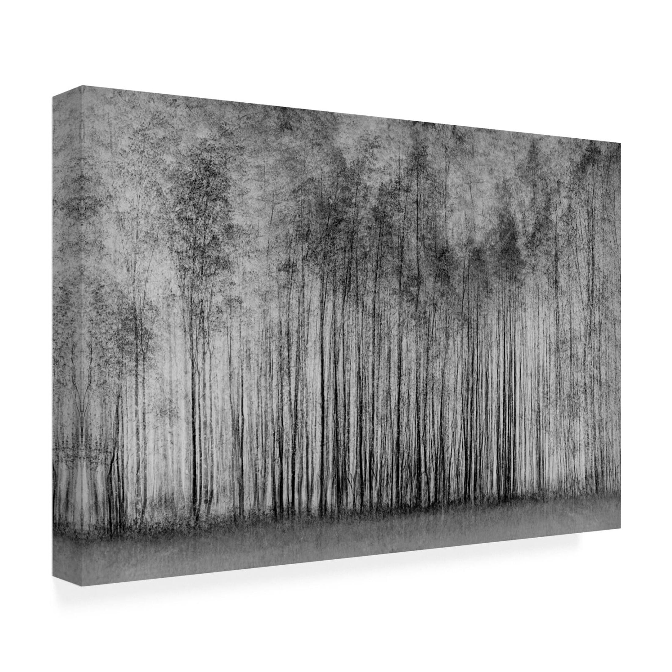 Canvas Wall Art - Roswitha Schleicher-Schwarz ' Impenetrable Forest' Wall Art for Living Room, Bedroom, or Office Décor by Trademark Fine Art - 47 x 30 Inches