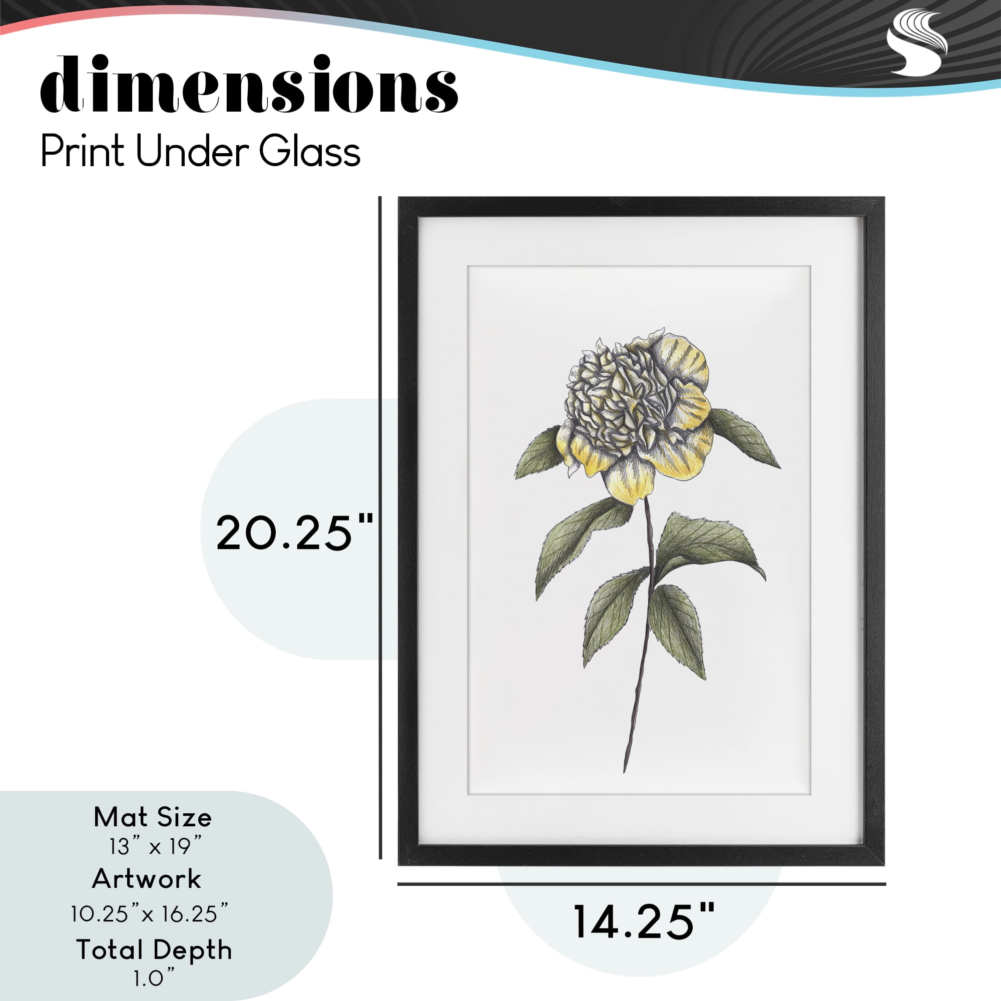 Camellia Flower Illustration Black Framed Print Under Glass, design by Cecilia Battaini