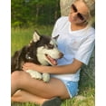 thumbnail image 2 of Pawz Rainbow Classic White V-Neck Tee, 2 of 4