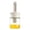 A, variant on Sturdy Silicone Oil Brush for Cooking - Heat Resistant up to 300°C, Soft Dense Bristles, Non-Scratch, Dishwasher Safe, Ideal for Grilling, Baking, Pastries & Barbecue