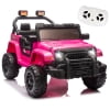 12VPink