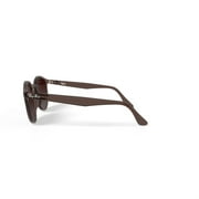 Ray-Ban Light Brown Sunglasses, RB2180-616613-49