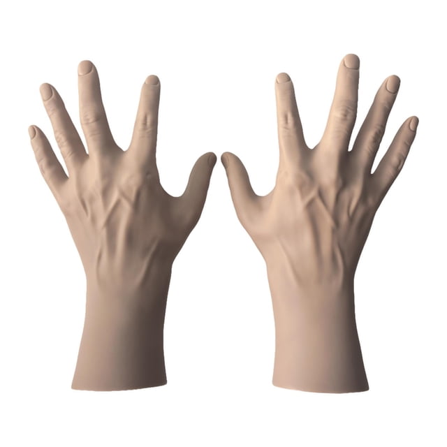 Maniquí de mano masculino, modelo de mano masculina, soporte para anillos, organizador de joyas, soporte para collar, 2 uds.