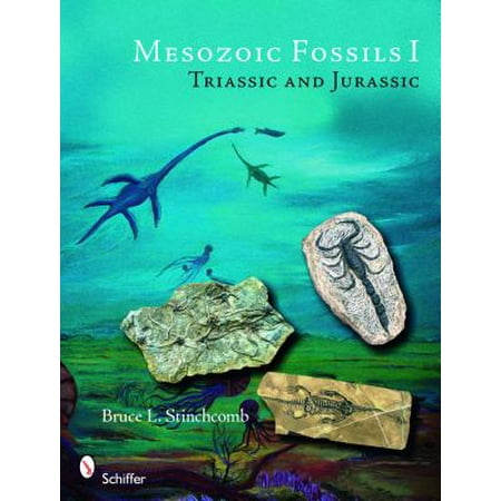 Mesozoic Fossils Triassic And Jurassic Walmart Com