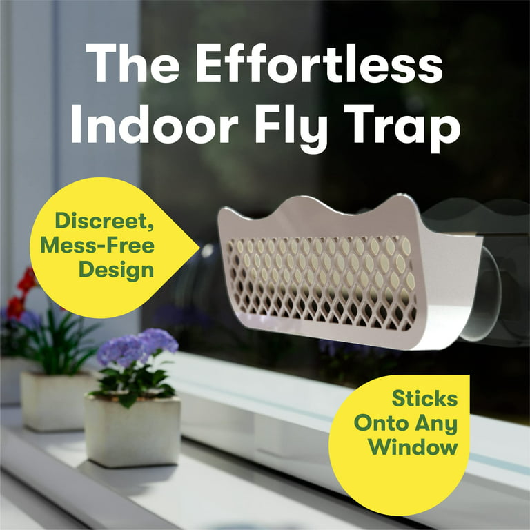 Printed Window Fly Traps for Indoors