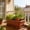 57#Red, variant on Rectangular Planter Box with Drain Tray, Large Capacity Plant Pot Easy Drainage Durable Design Multi Purpose Planter for Balcony Patio Indoor Garden Vegetable Flower Growing