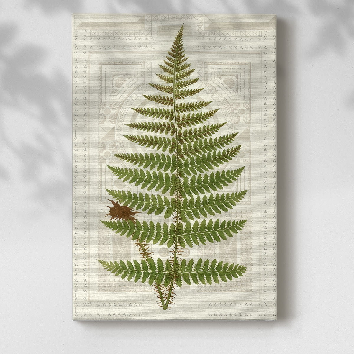 Garden Ferns V- Gallery Wrapped Canvas