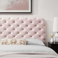 thumbnail image 7 of Modway Lizzy Tufted King/California King Performance Velvet Headboard in Pink, 7 of 7