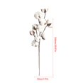 thumbnail image 2 of Natural Cotton Stick Natural Dried Flower Simulation Flower Kapok Simple Cotton Thread Bud Natural Cotton, 2 of 6