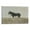 Frame-style, variant on Andrew Wyeth Farm Horse Prints Poster Wall Art Poster Scroll Canvas Painting Picture Living Room Decor Home 24x36inch(60x90cm)