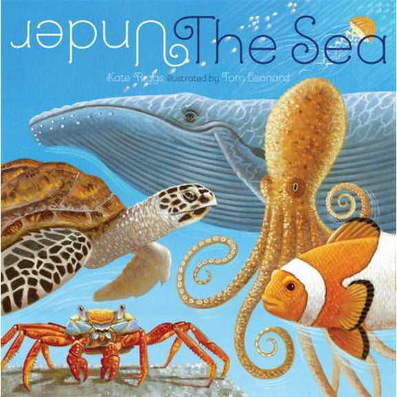 Pre-Owned Under the Sea (Board Book)