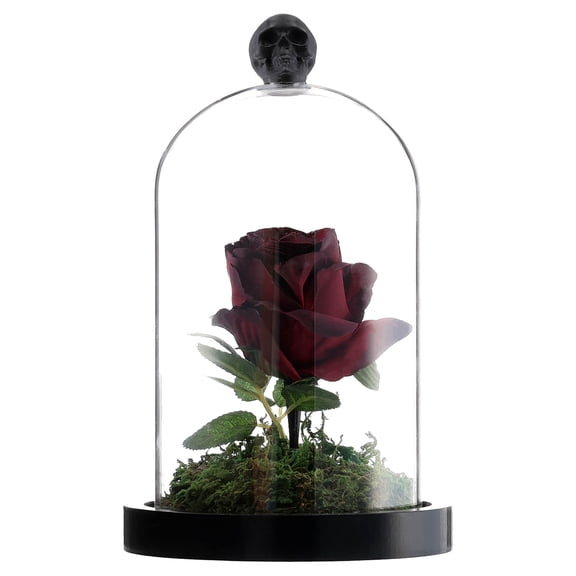 Clear Dome with Rose Decoration, Multicolor, 7.25", Halloween by Way To Celebrate